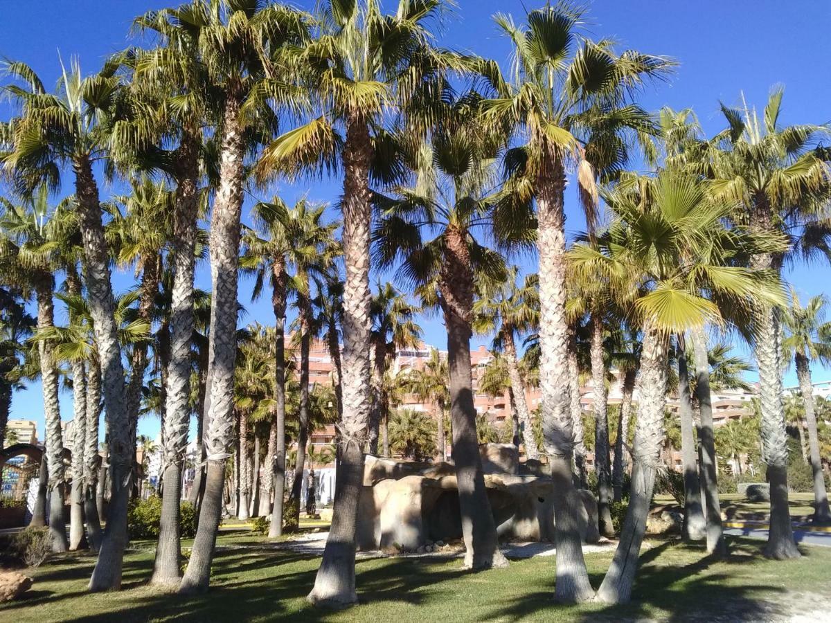 Apartamento Acapulco II, 1a LINEA, Playa Amplaries Oropesa del Mar Exterior foto